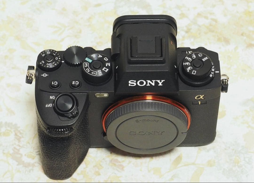 ソニーα1ボディ