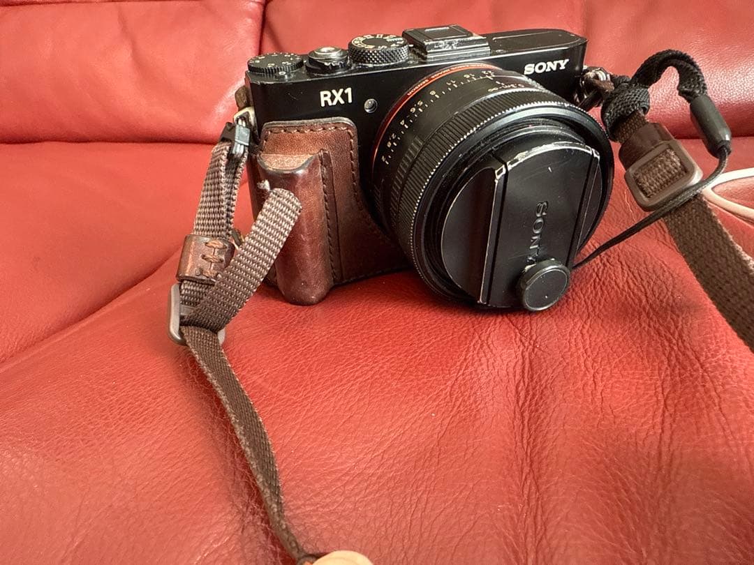 はるちゃん　SONY RX1 初代 フルサイズ Carl Zeiss