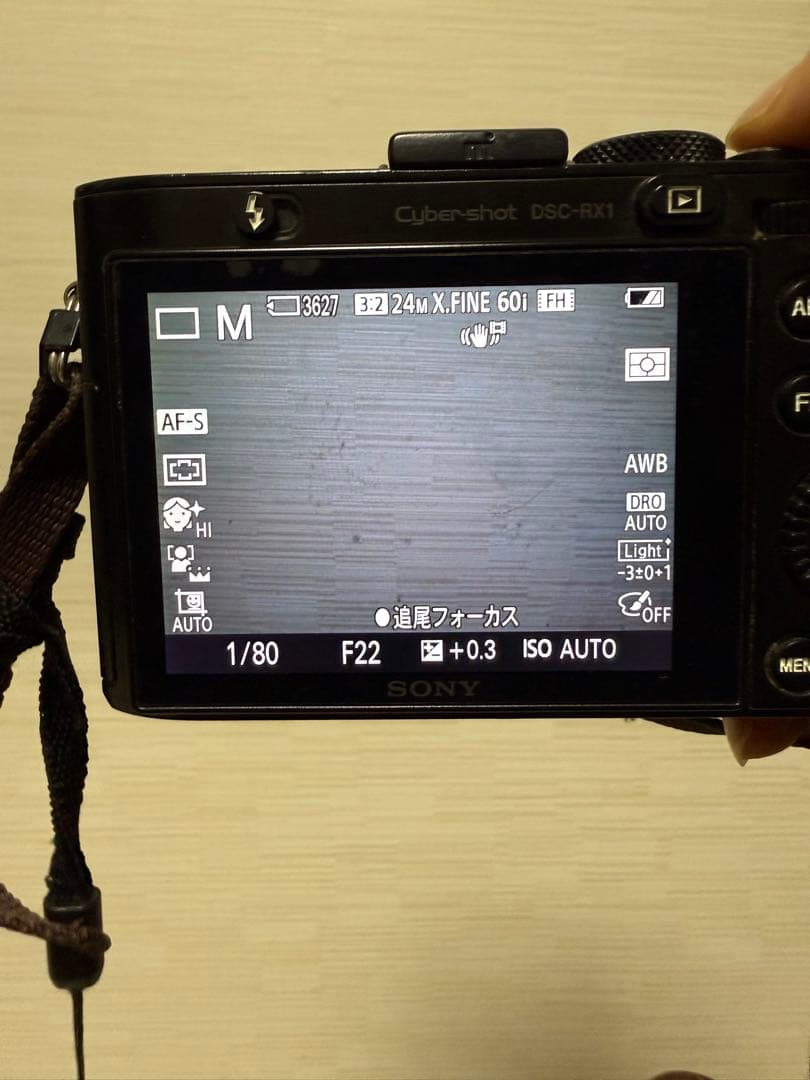 はるちゃん　SONY RX1 初代 フルサイズ Carl Zeiss