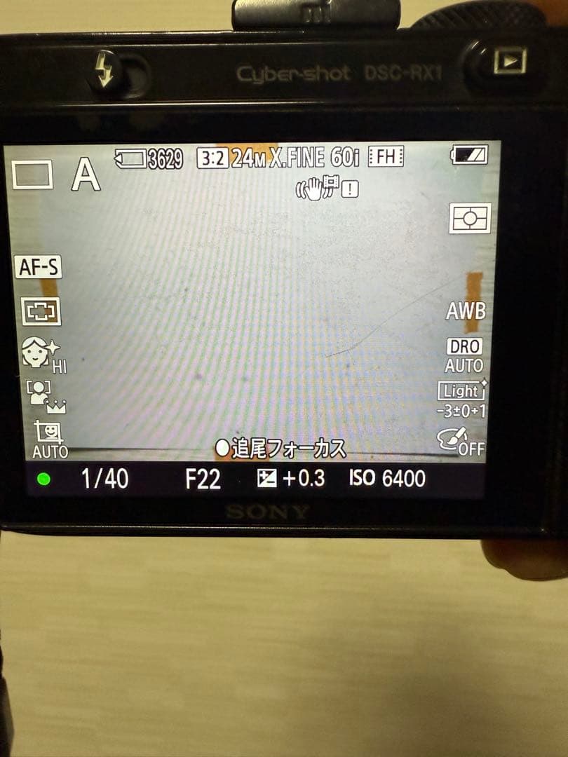 はるちゃん　SONY RX1 初代 フルサイズ Carl Zeiss