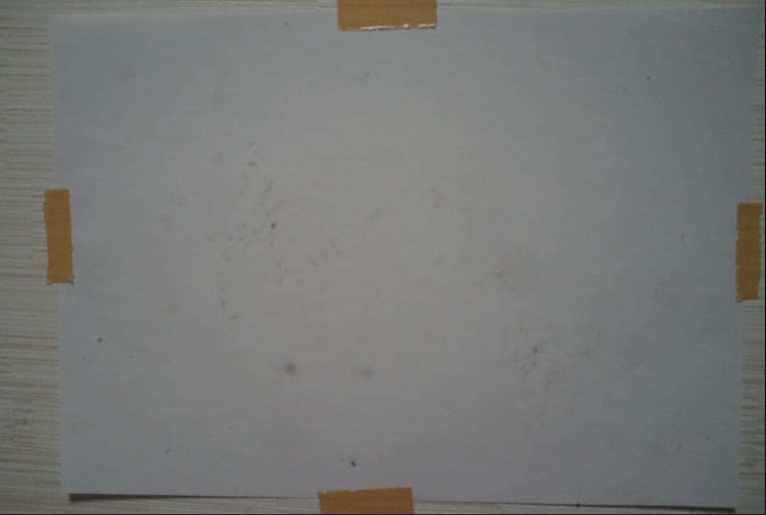 はるちゃん　SONY RX1 初代 フルサイズ Carl Zeiss