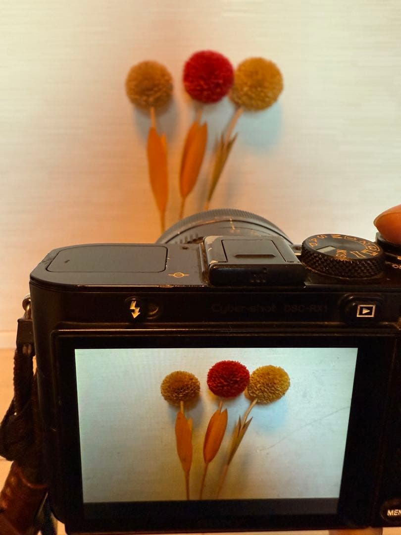 はるちゃん　SONY RX1 初代 フルサイズ Carl Zeiss