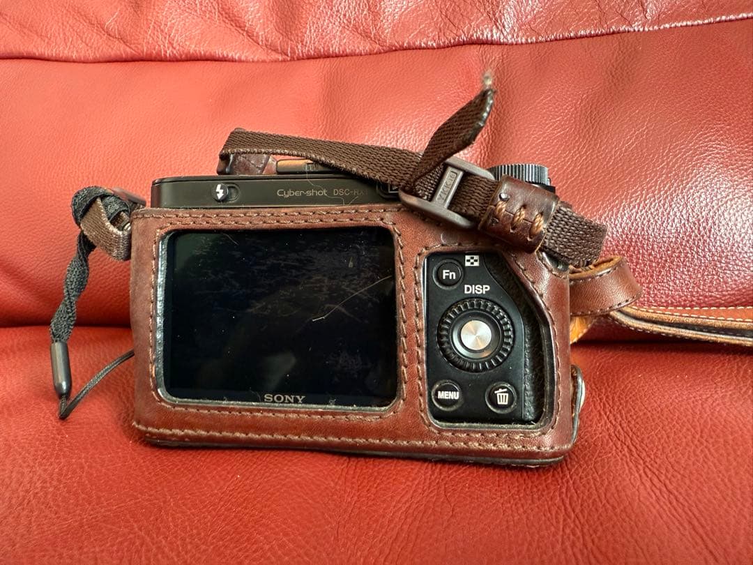 はるちゃん　SONY RX1 初代 フルサイズ Carl Zeiss