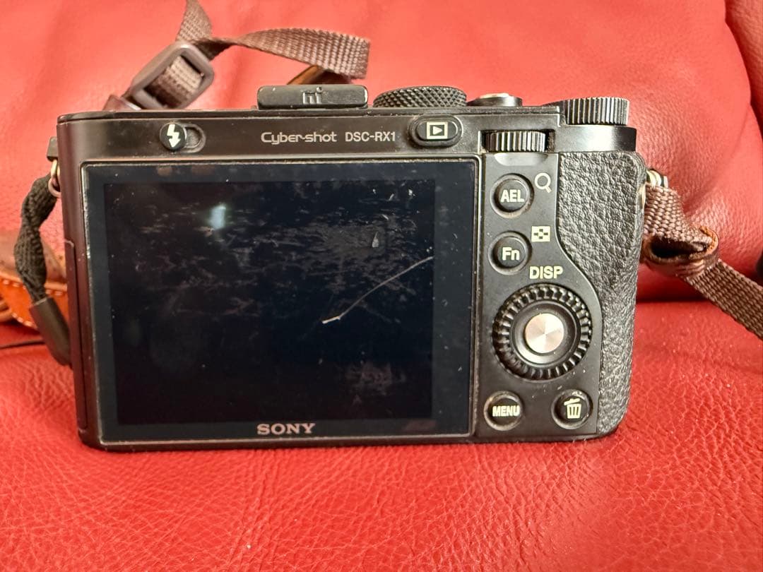 はるちゃん　SONY RX1 初代 フルサイズ Carl Zeiss