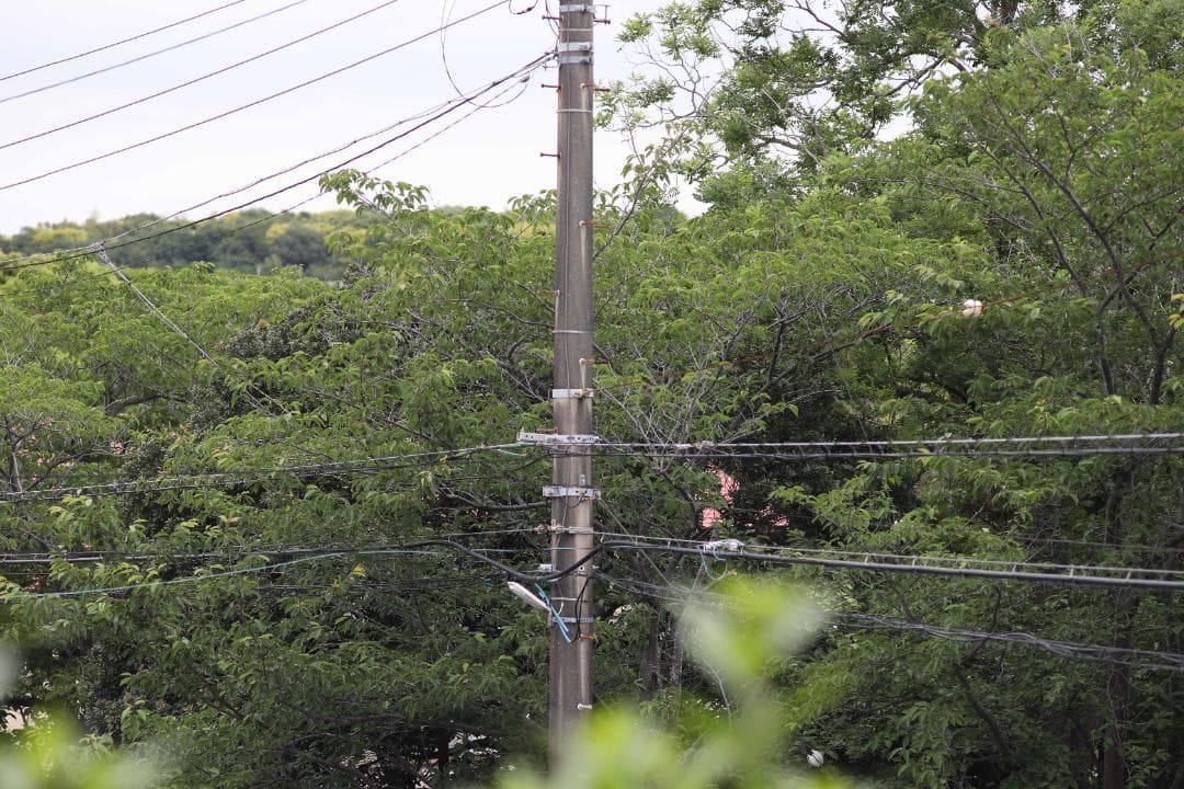 レンズ(単焦点) Contax Carl Zeiss Sonnar 135mm F2.8 7358