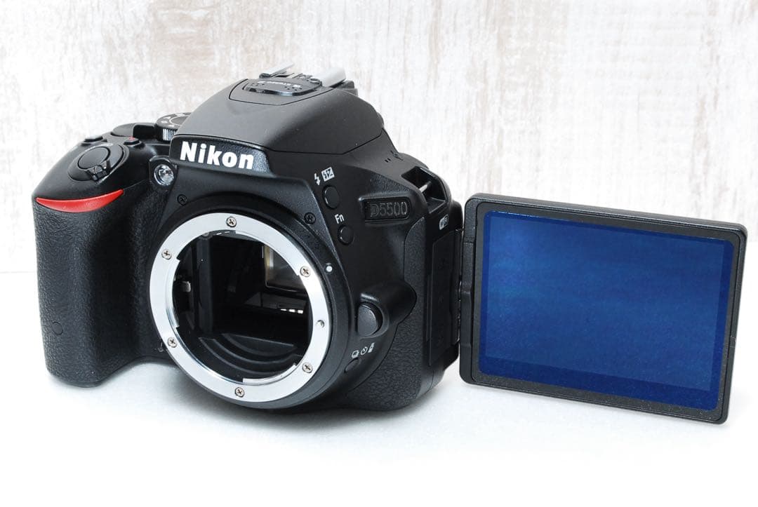 ショット数少❣️Wi-Fi搭載機❣️ダブルレンズセット❣️ Nikon D5500