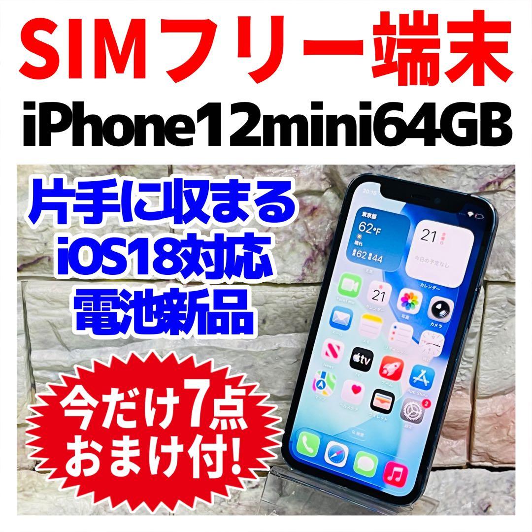 SIMフリー iPhone12mini 64GB ブルー 新品バッテリ－
