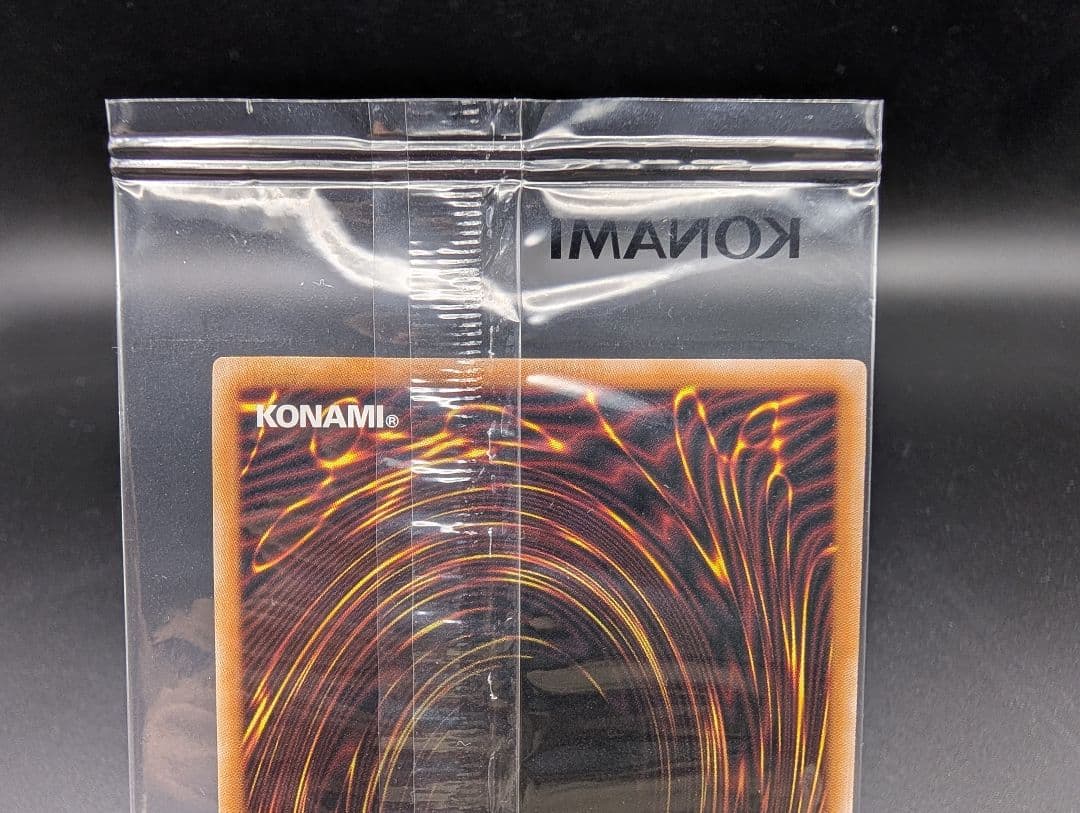 格安 最安値 レッドアイズ・ブラック・ドラゴン NIKE 本付けれます