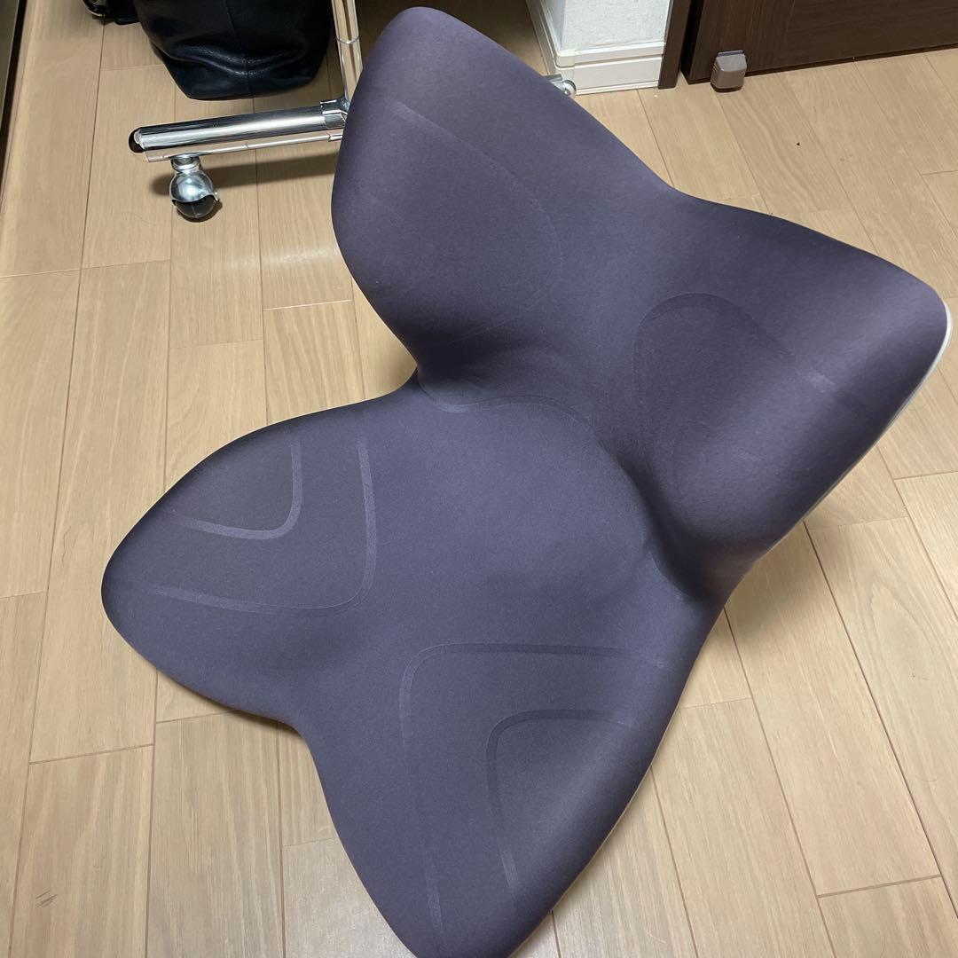 Styleスタイルプレミアム 姿勢矯正用クッション ブラウン