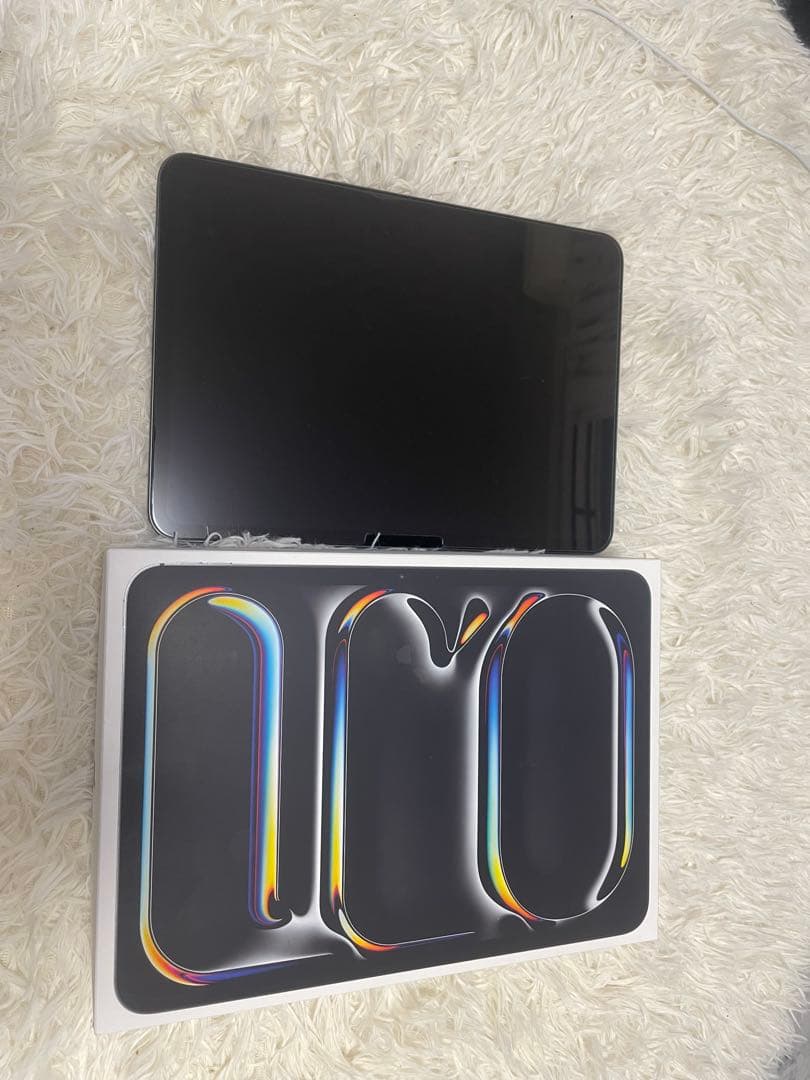 Apple iPad Pro 11インチ 第五世代　M4チップ　256GB箱付き