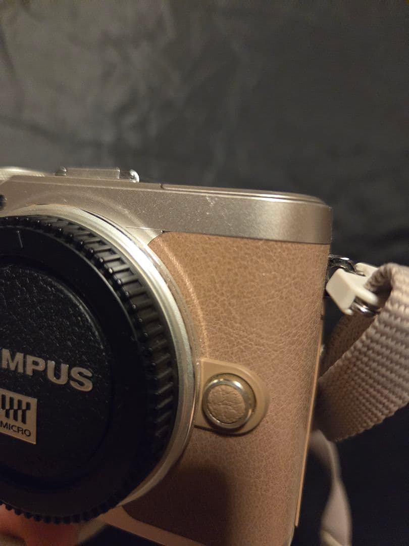 OLYMPUS E-PL10 ブラウン EZダブルズームキット