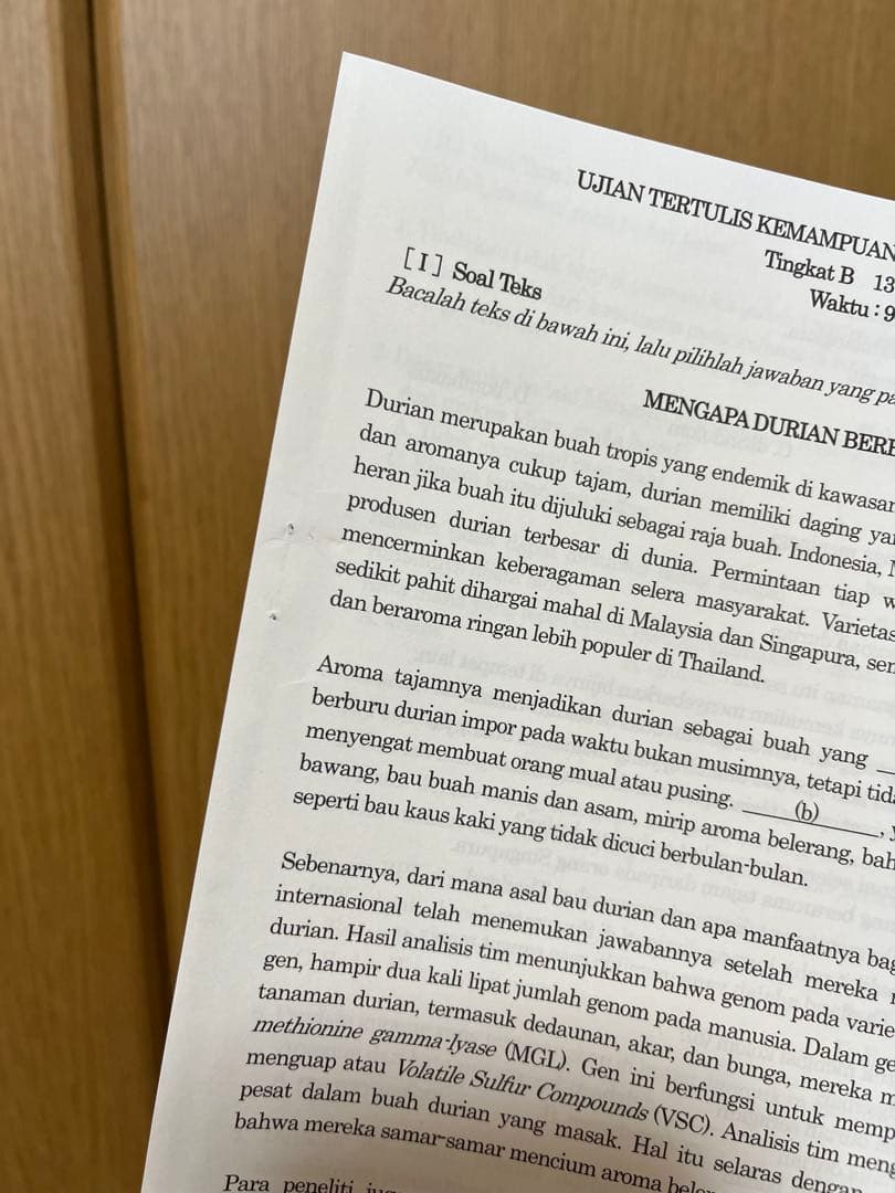 インドネシア語検定 特A/A/B級 過去問9冊セット