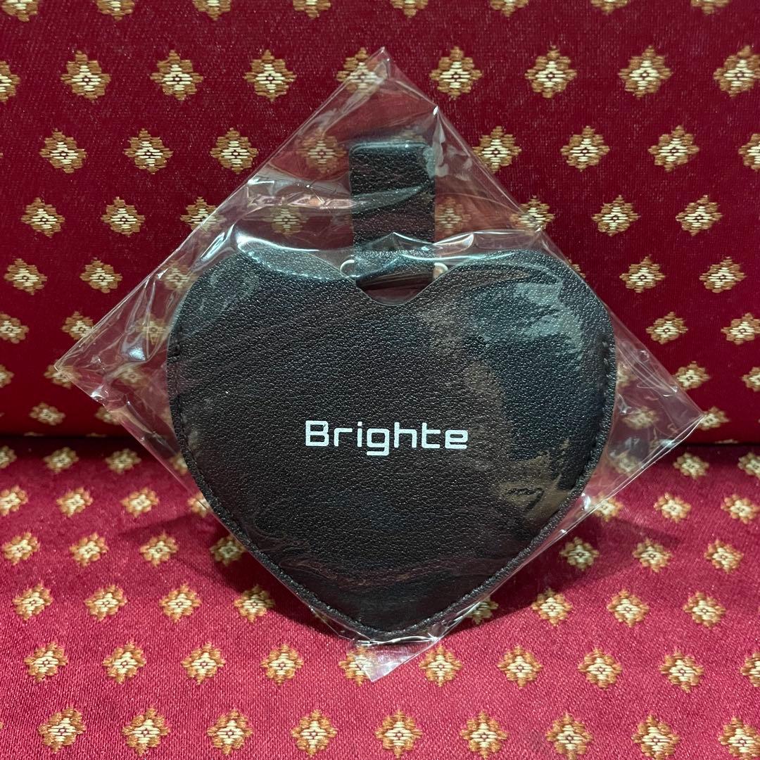 【新品】 Brighte ELEKI BRUSH+ 美顔器 オマケつき ピンク