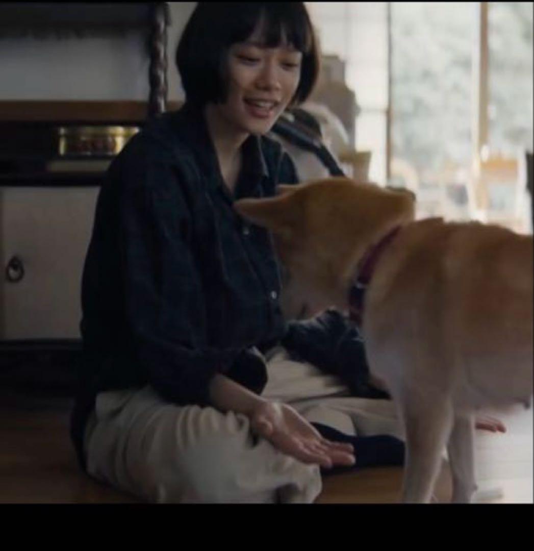 Steven Alanマドラスチェック オープンカラー シャツBOX 杉咲花