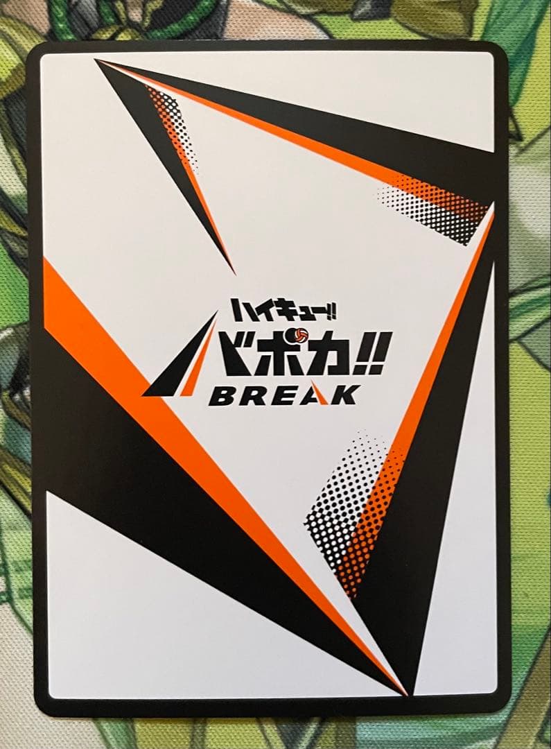 日向翔陽 極 バボカ