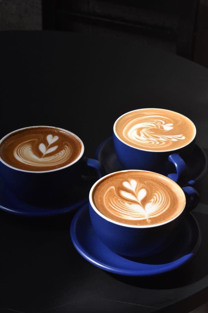 s*w様 Breville BES870X エスプレッソマシン