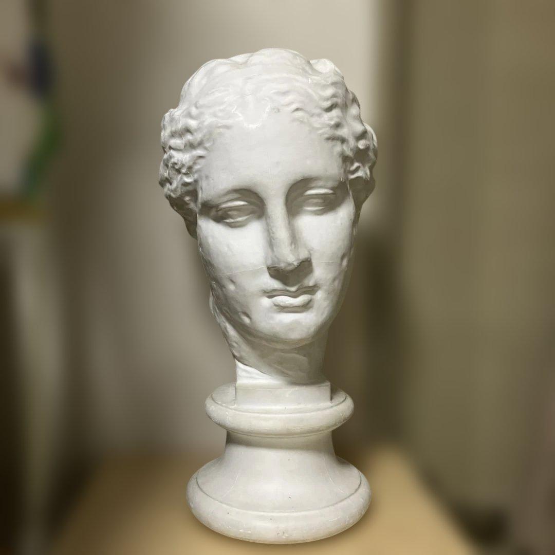 石膏像　古代ヴィーナス首像（アバタのヴィーナス）