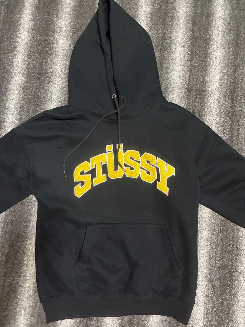 ステューシーメンズパーカー