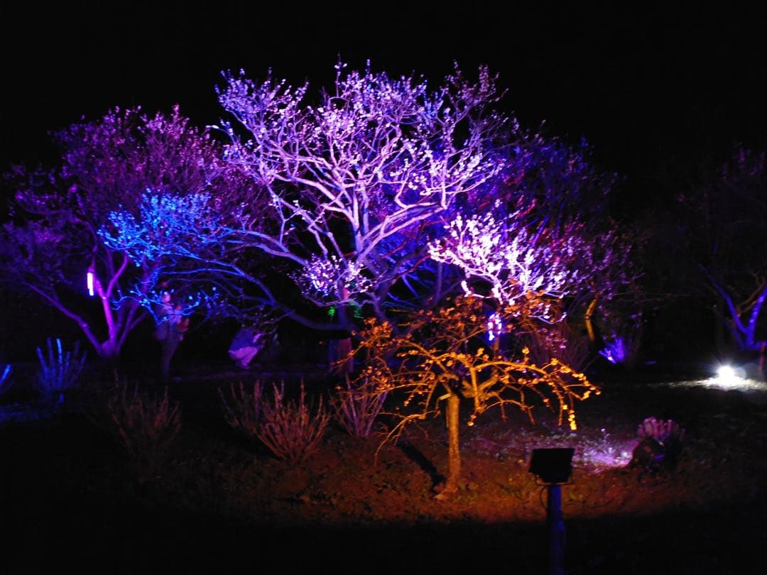 LUMIX DMC-FH10 ブラック