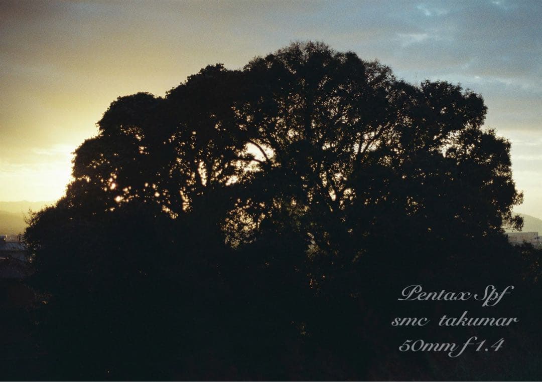 ★入門に！ペンタックスSPF/タクマーf1.4★初期保証＊作例多数＊美品＊完動品