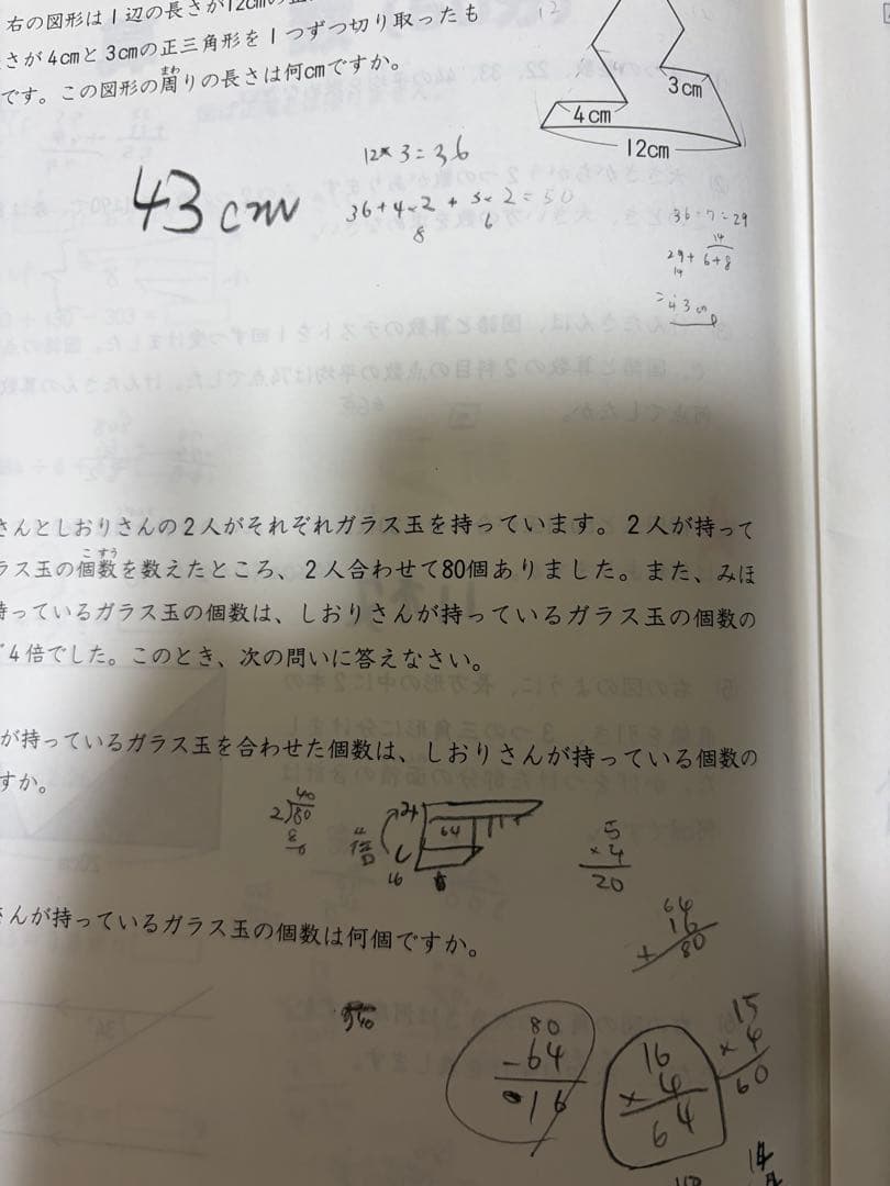 日能研5年　実力判定テスト　2020年通年分
