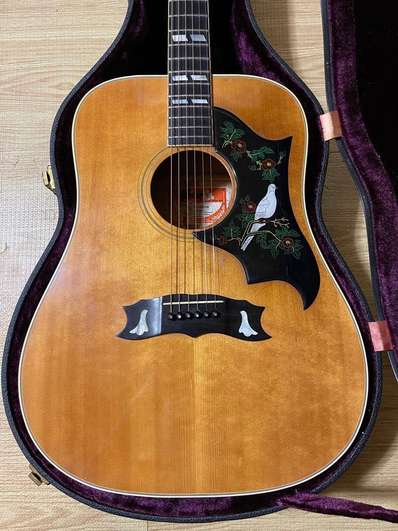 Gibson Dove 1973〜1975 年製　ビンテージ