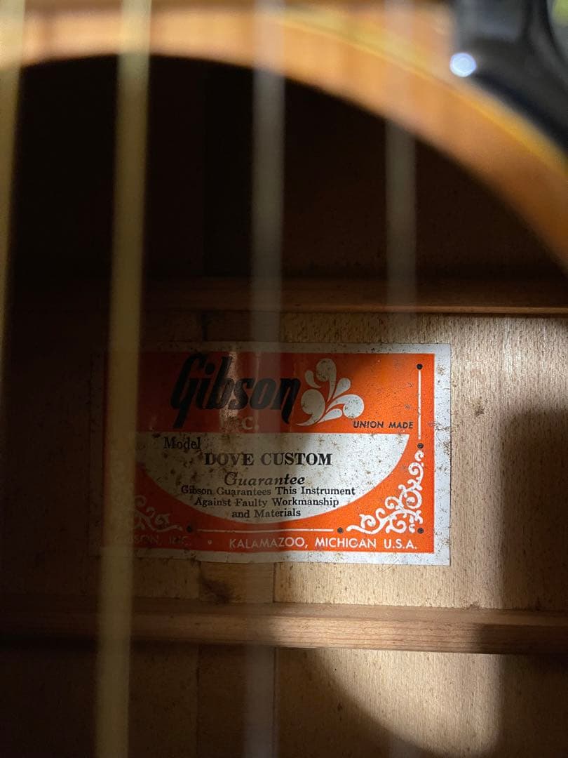 Gibson Dove 1973〜1975 年製　ビンテージ