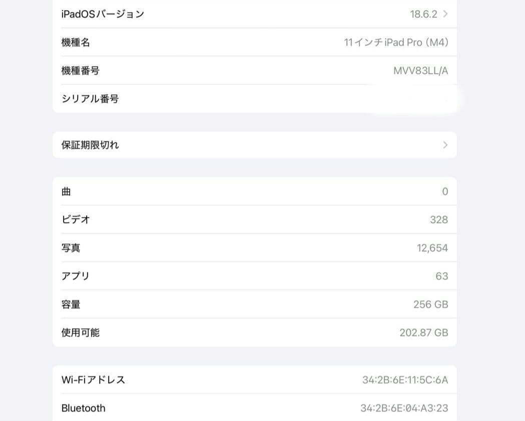 M4 iPad Pro 256GB Wifi バッテリー最大容量98％ Aランク