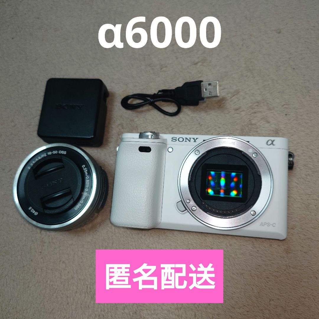 SONY α6000 ミラーレス一眼カメラ Eマウント