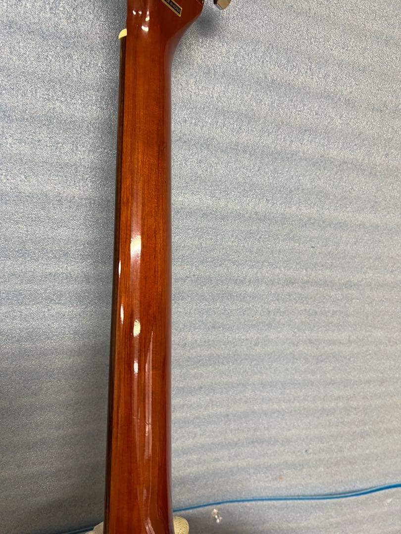 HISTORY　ヒストリー　アコースティックギター　HFG1TS