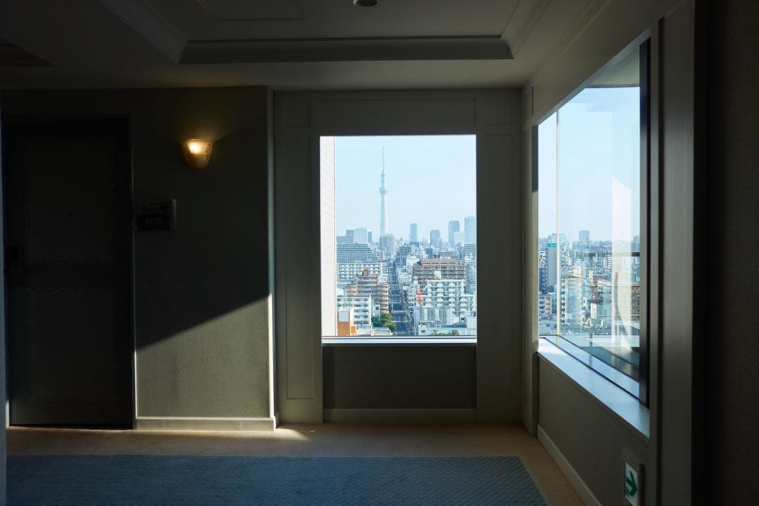 Sony RX100初代　NP-BX1 バッテリーセット