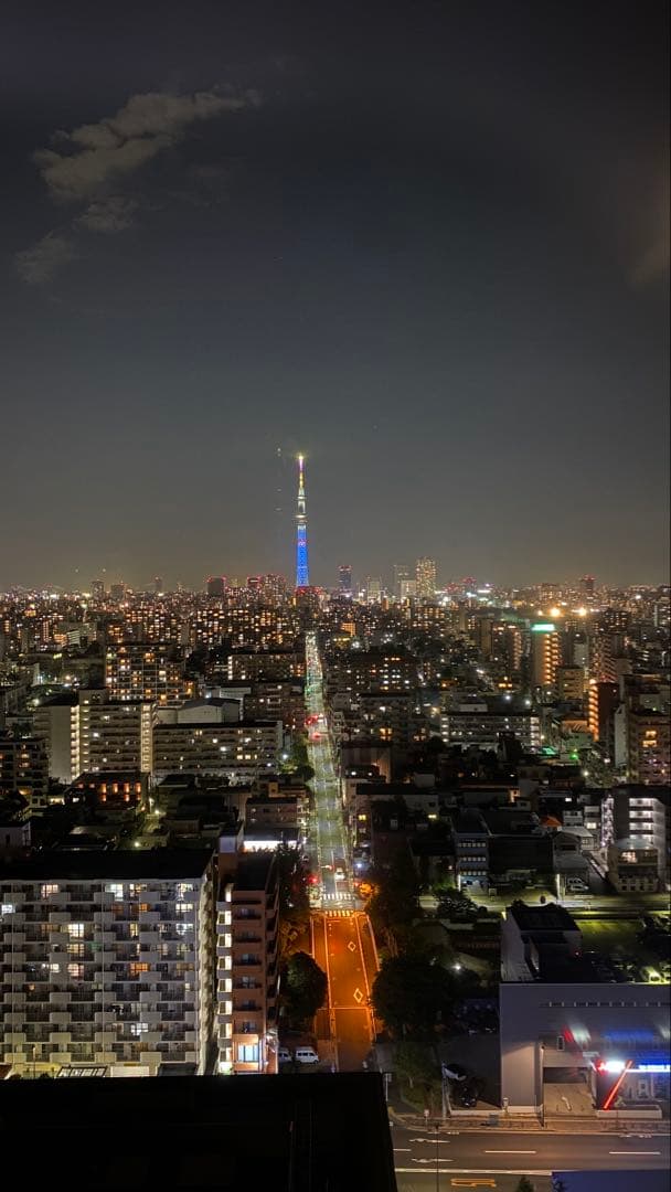 Sony RX100初代　NP-BX1 バッテリーセット