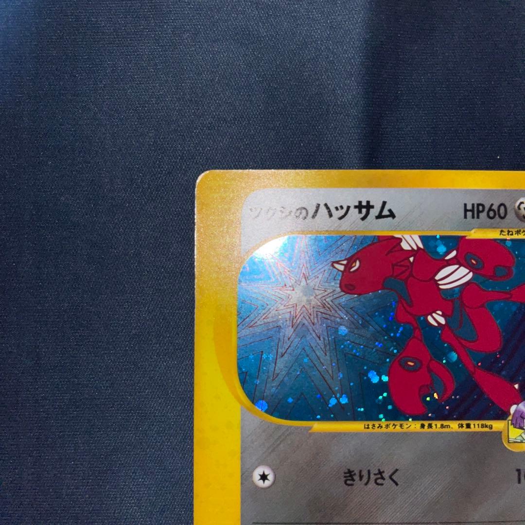 ツクシのハッサム