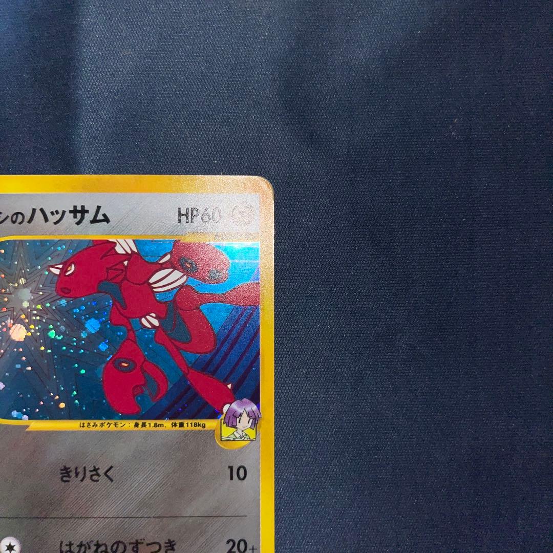 ツクシのハッサム