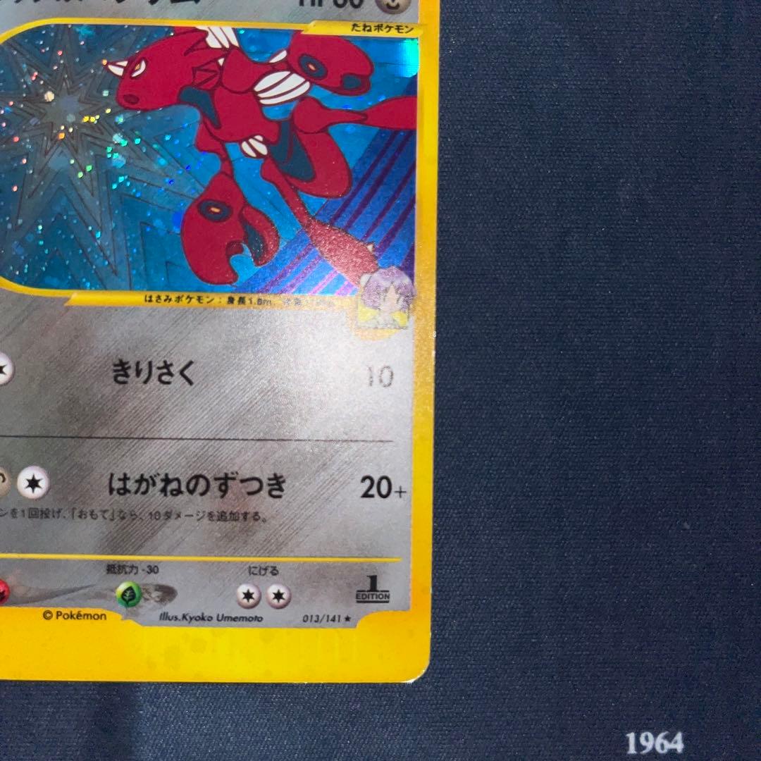 ツクシのハッサム