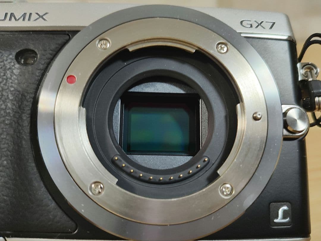 Panasonic LUMIX DMC-DX7 ボディ シルバー