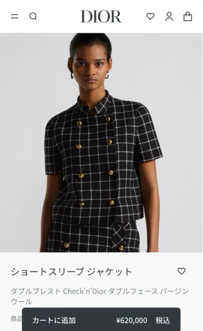 24AW DIOR ショートスリーブジャケット　黒36