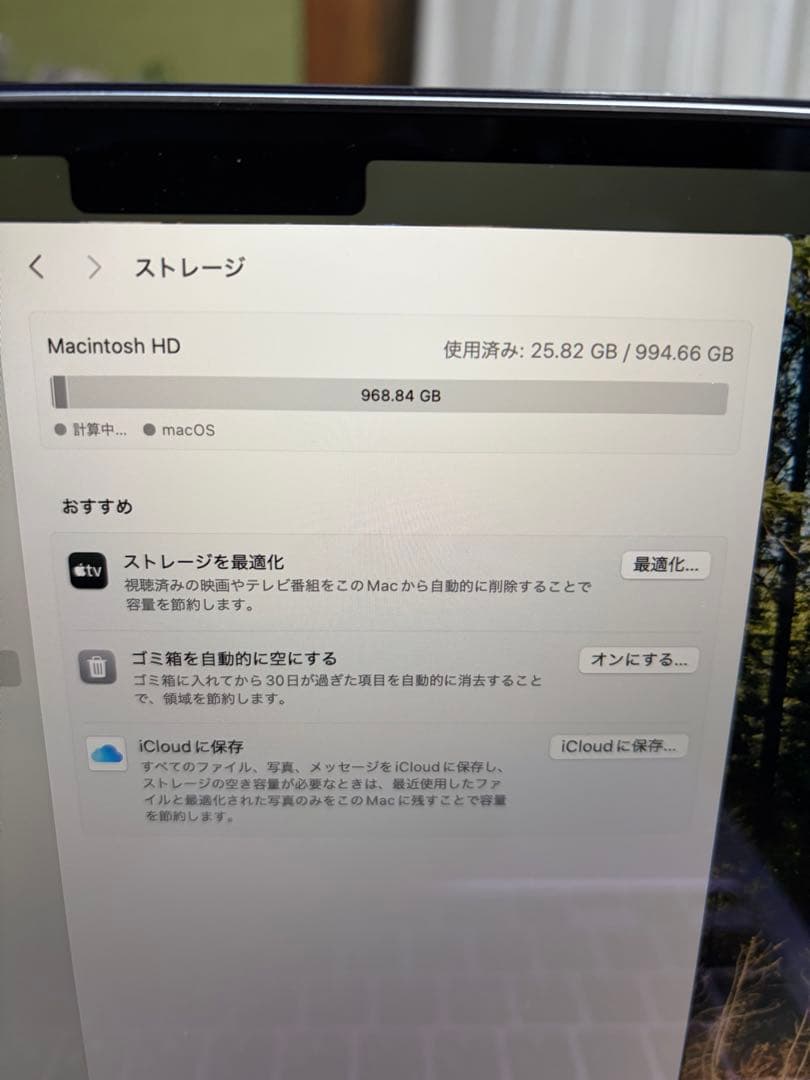 MacBook Air 2025 M4 24GB 1TB スカイブルー中古