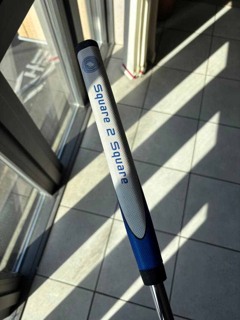 オデッセイ　Ai-ONE Squaqe 2 Square ジェイルバード　33