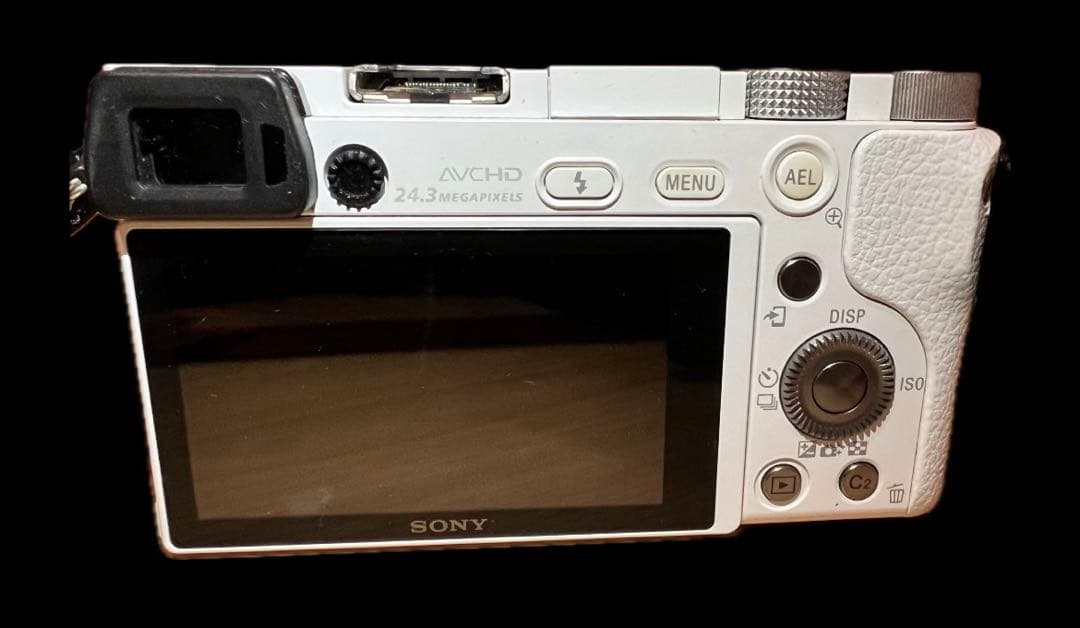 【動作確認済】SONY α6000 ILCE-6000 レンズ SELP1650