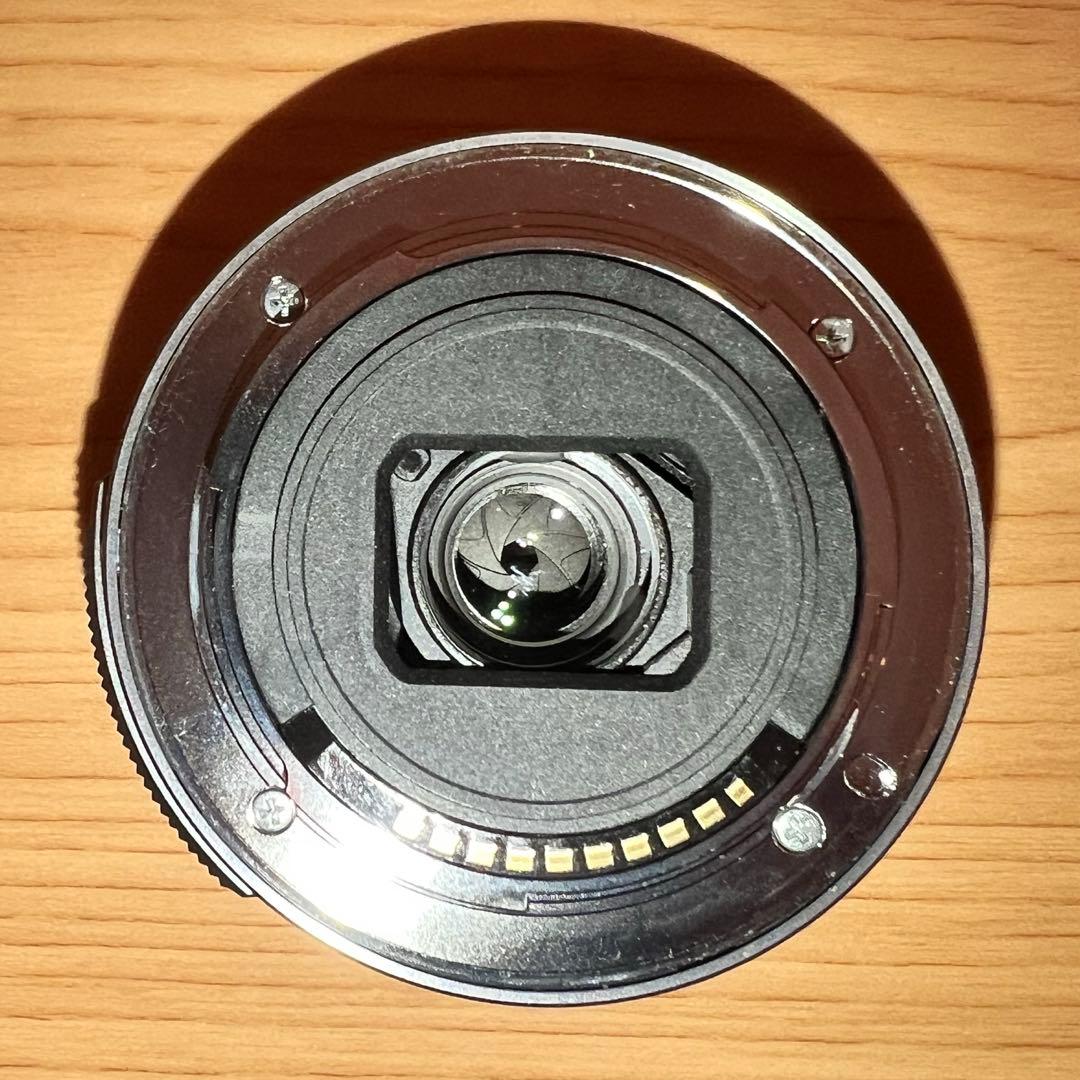 【動作確認済】SONY α6000 ILCE-6000 レンズ SELP1650