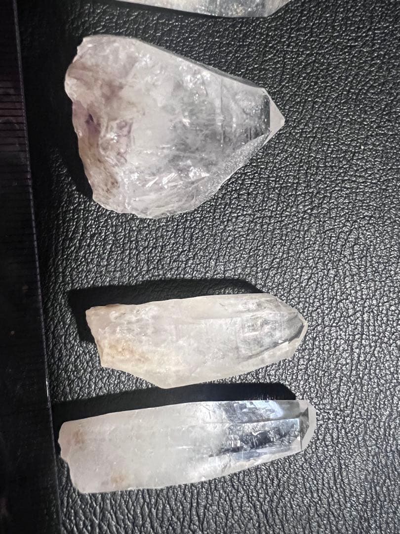 GANちゃんページ