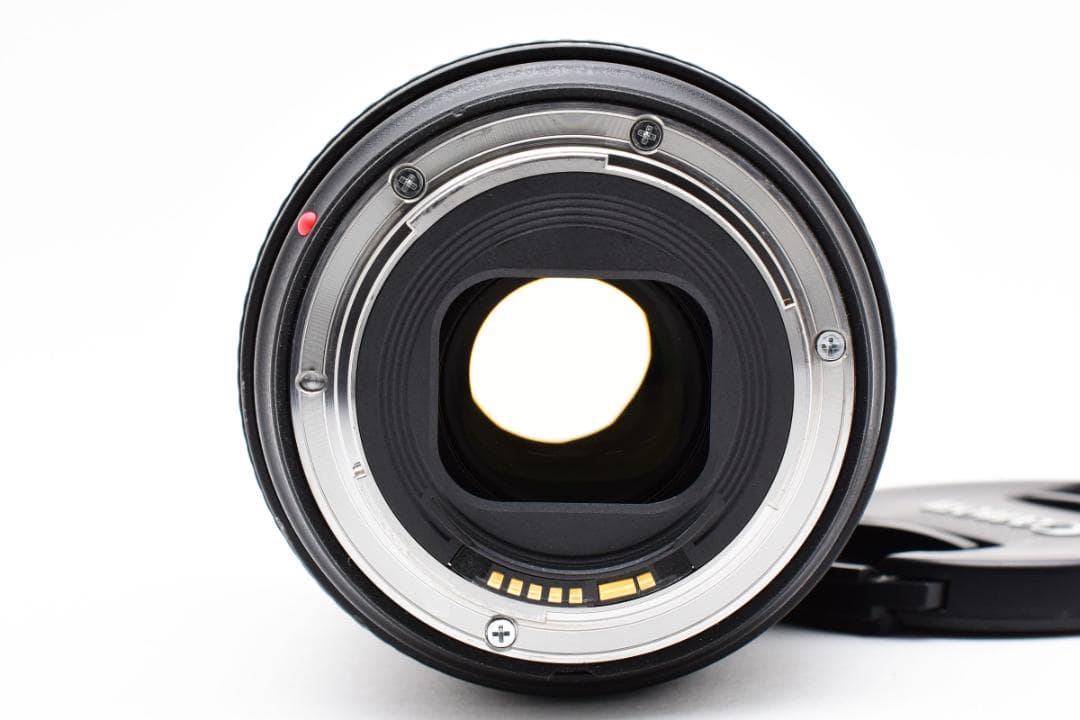 いちごCanon EF 24-105mm F4 L IS II USM