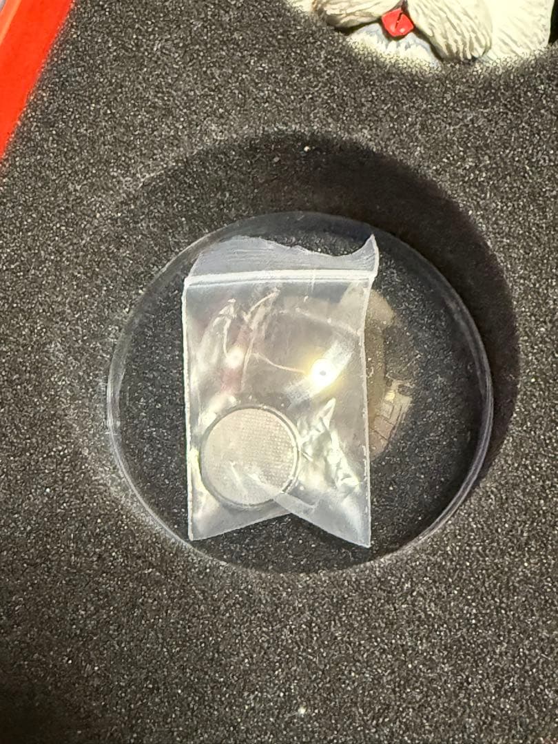 ヤノベケンジ　シップスキャット