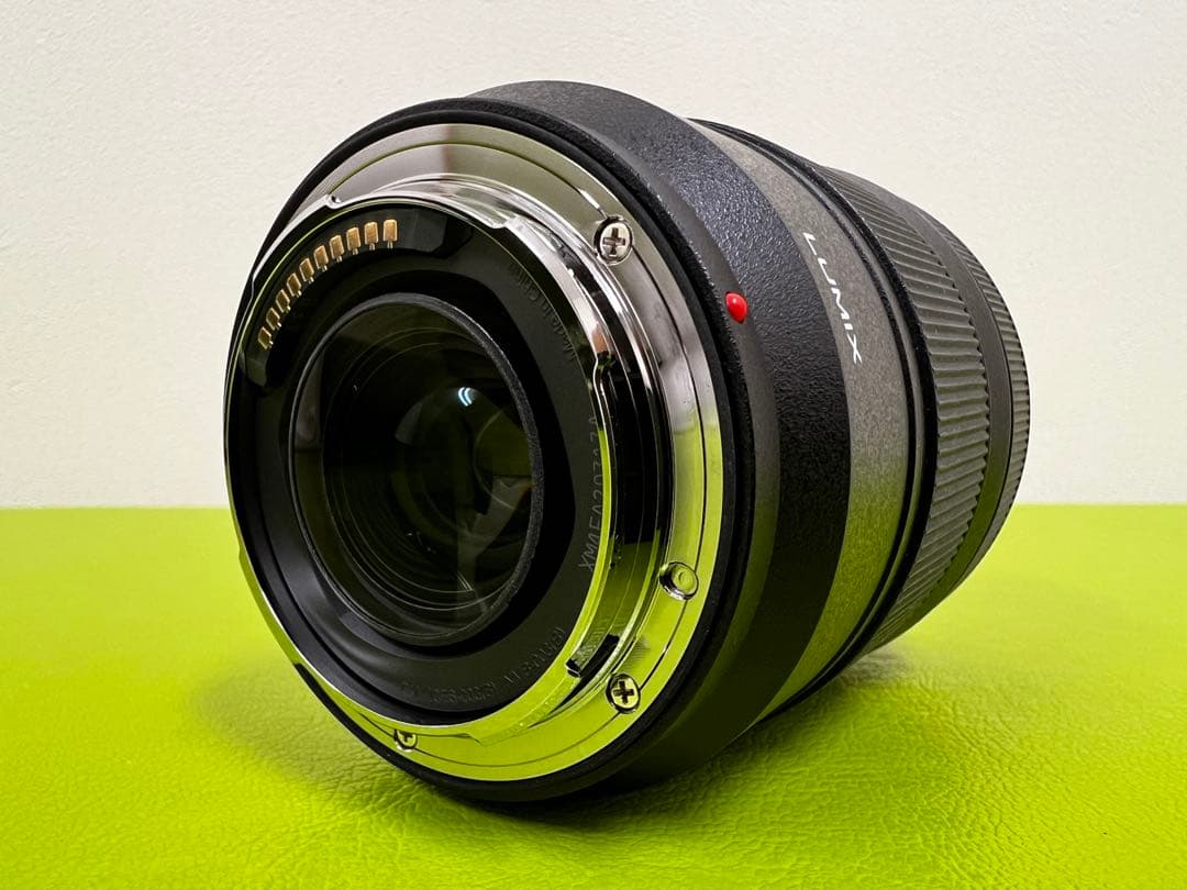 Panasonic 28-200mm ズームレンズ