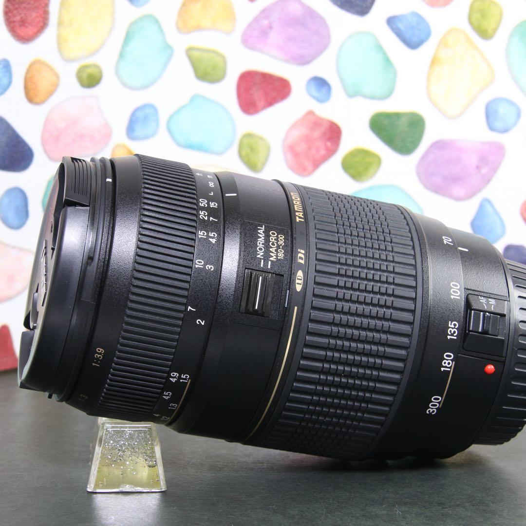 ♥︎◇美品 ◇TAMRON 70-300mm Canon ◇高性能望遠レンズ♪
