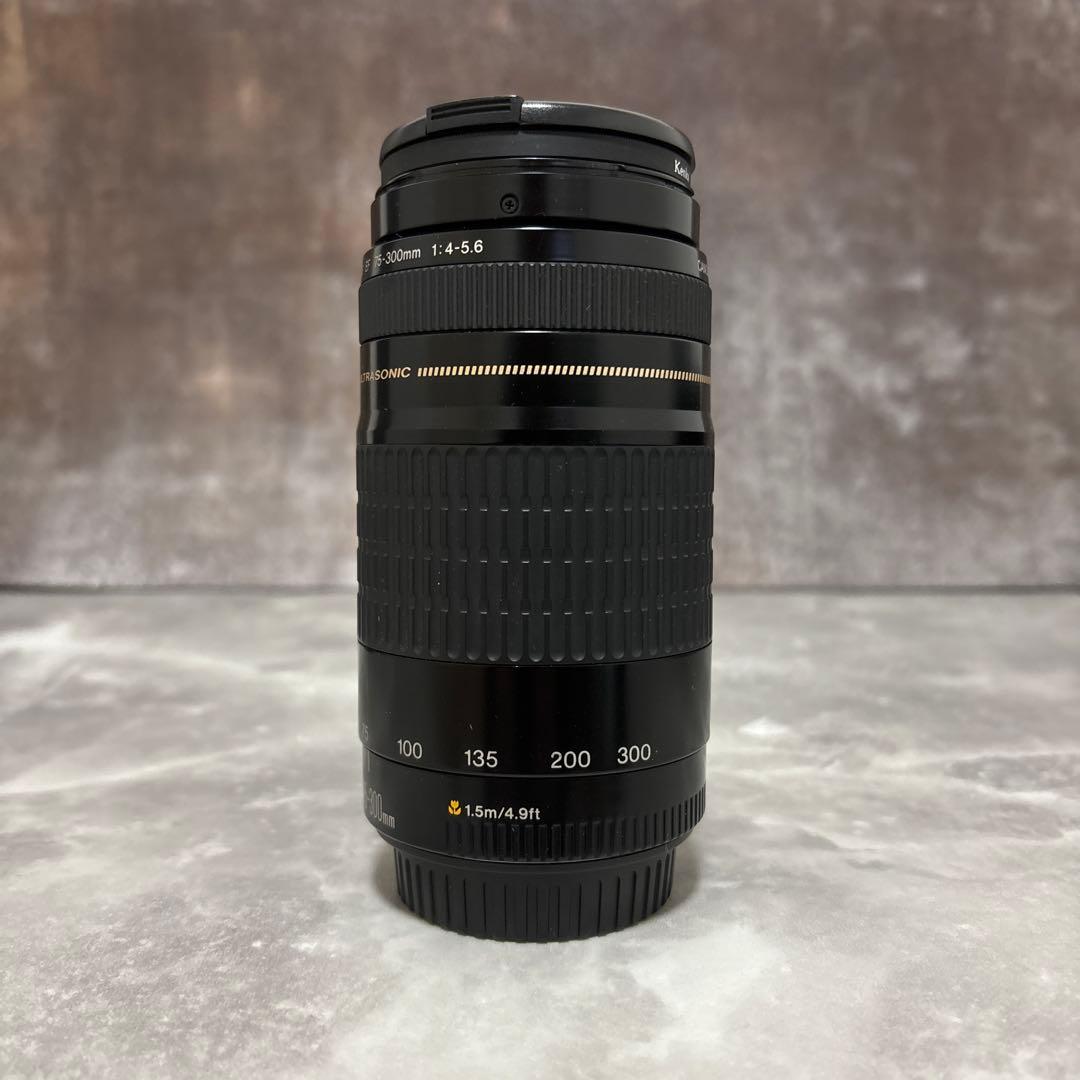 【美品・完動品】Canon EF 75-300mm f/4-5.6 USM