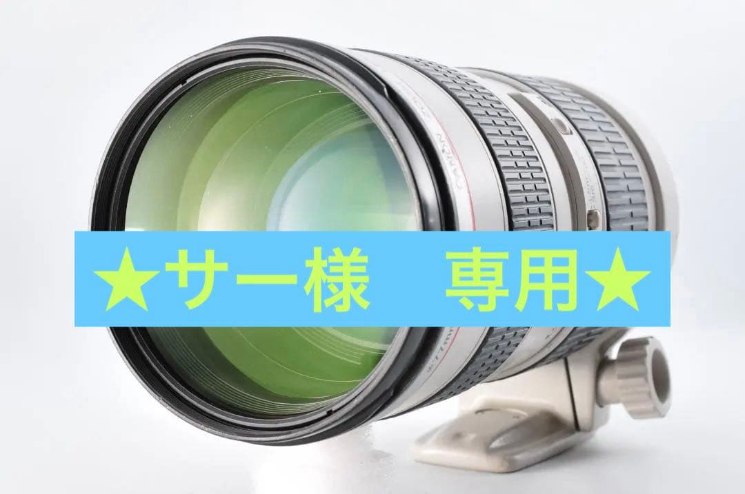 一眼レフレンズ【Canon EF 70-200mm f/2.8L USM】