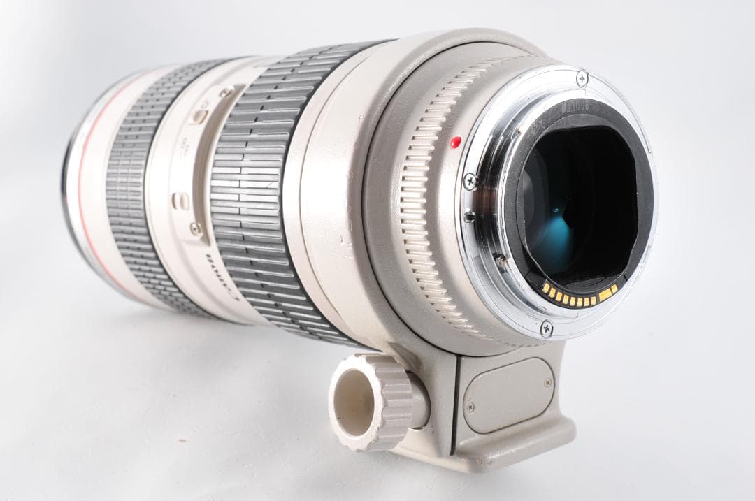 一眼レフレンズ【Canon EF 70-200mm f/2.8L USM】