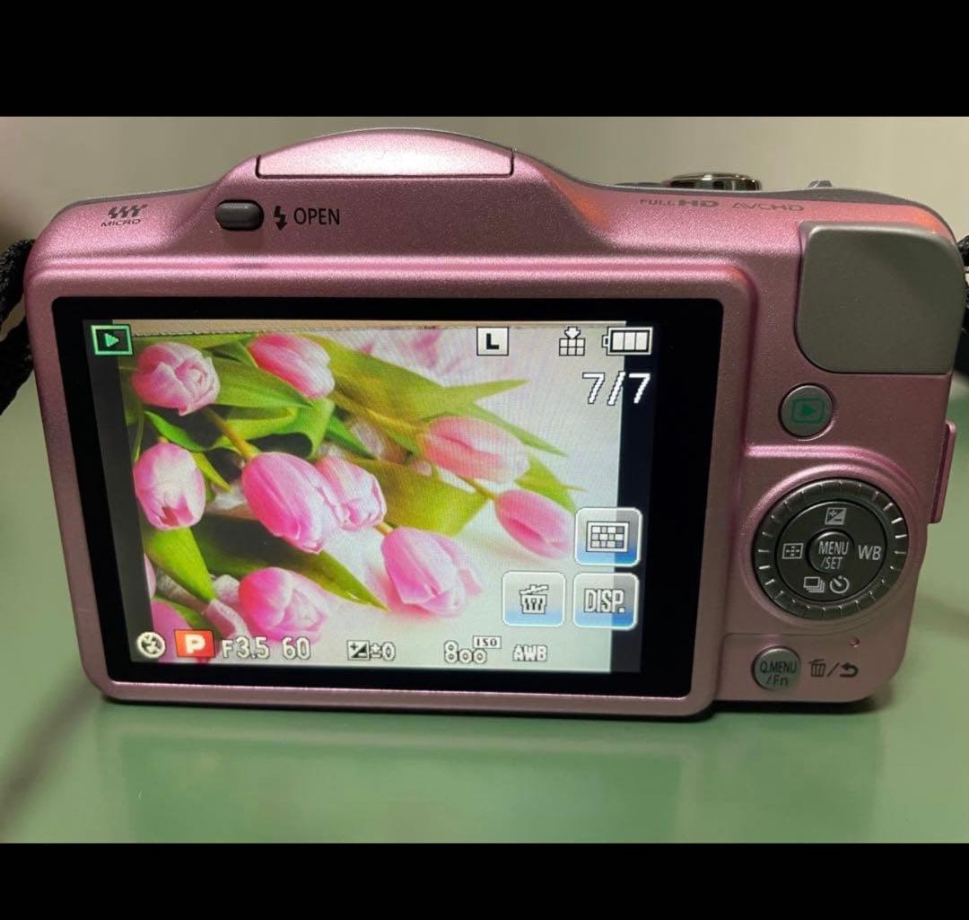 LUMIX 一眼レフGF3 専用バッグ付き